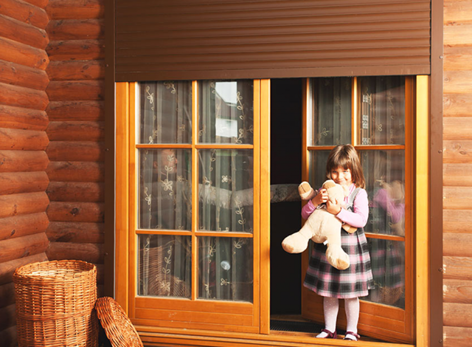 Описание Рольставни на двери